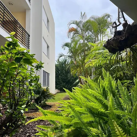 White House Premium - Located In A Prestigious Area * Funchal (Madeira)